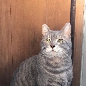 Meet your Posher, Anastacia